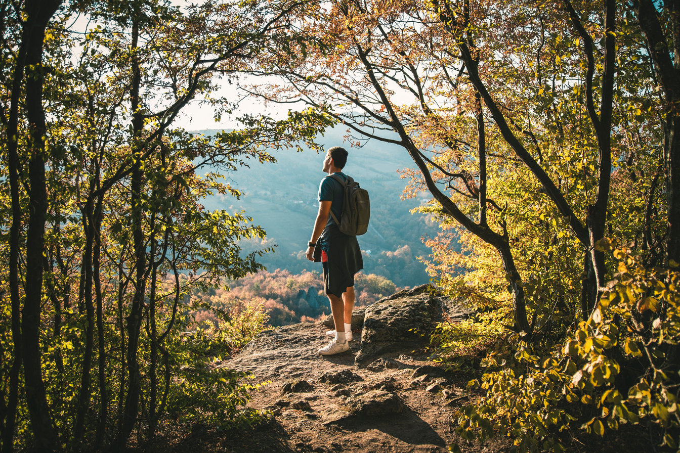 Young man in forest